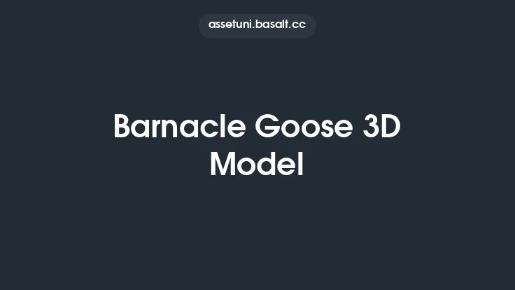 Barnacle Goose 3D Model Thumbnail