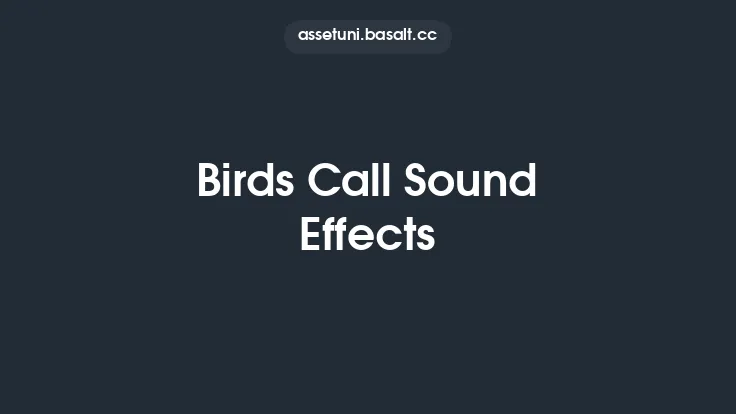Birds Call Sound Effects Thumbnail
