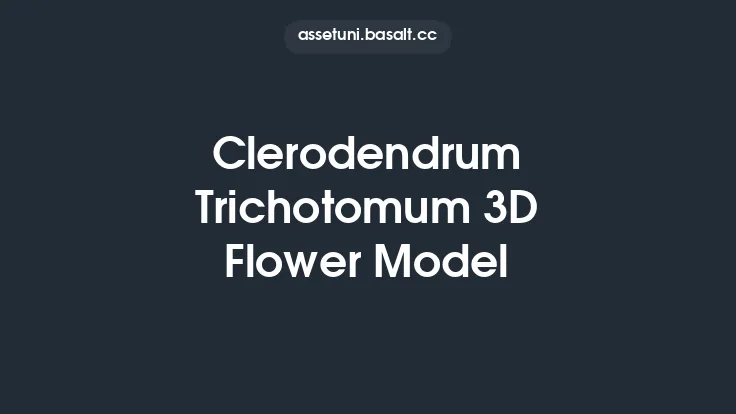 Clerodendrum Trichotomum 3D Flower Model Thumbnail