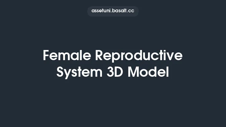 Female Reproductive System 3D Model Thumbnail