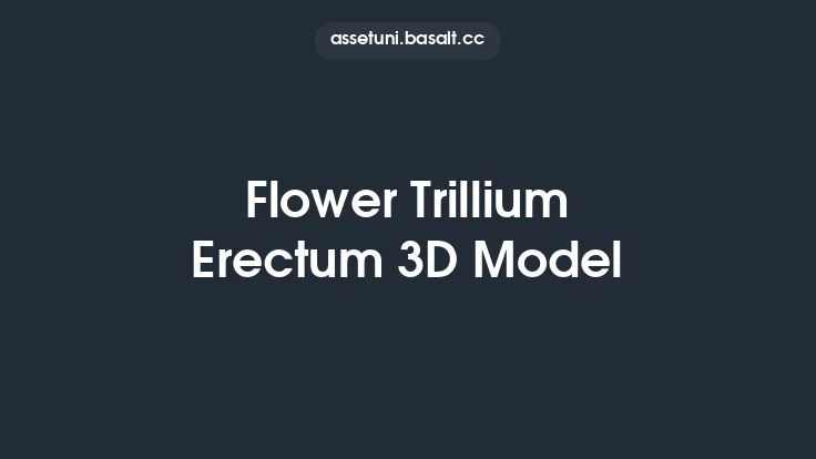 Flower Trillium Erectum 3D Model Thumbnail