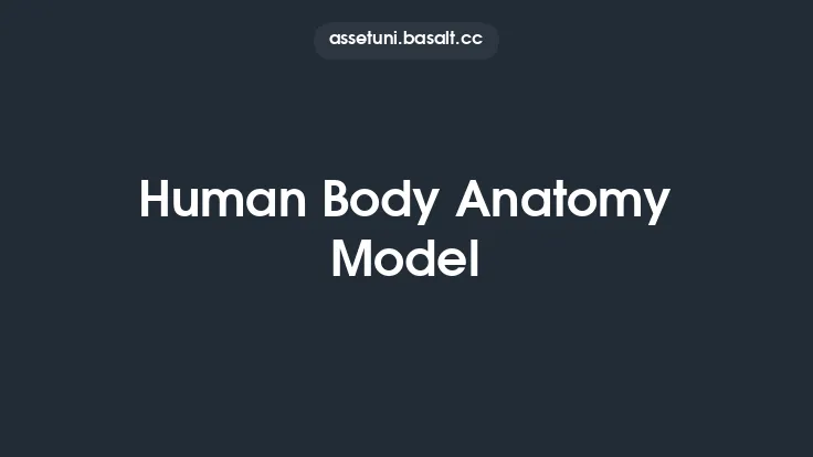 Human Body Anatomy Model Thumbnail