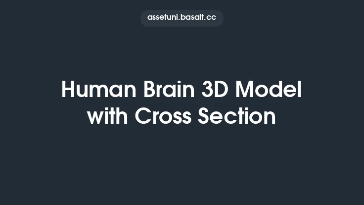 Human Brain 3D Model with Cross Section Thumbnail