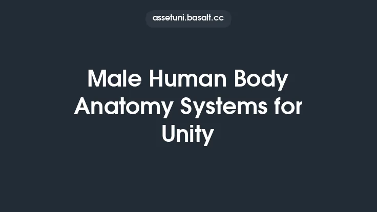 Male Human Body Anatomy Systems for Unity Thumbnail