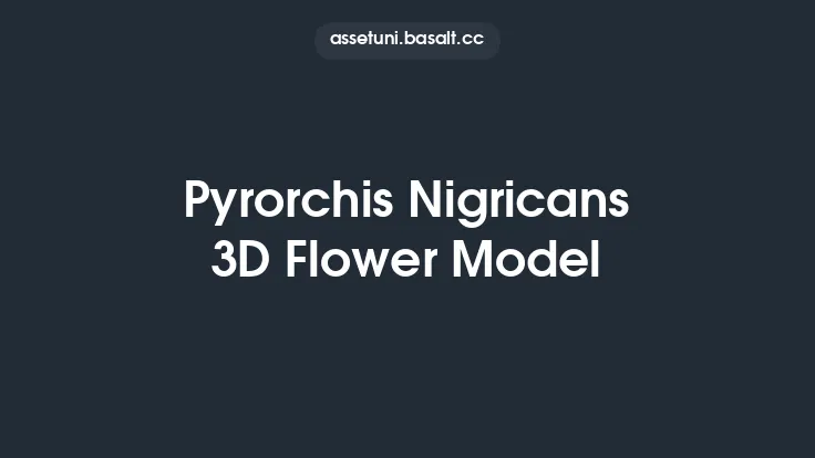 Pyrorchis Nigricans 3D Flower Model Thumbnail