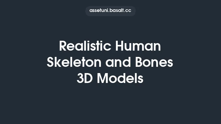 Realistic Human Skeleton and Bones 3D Models Thumbnail
