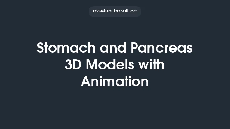Stomach and Pancreas 3D Models with Animation Thumbnail